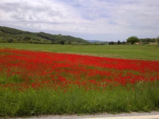 Tuscany Tours by Golden Travel