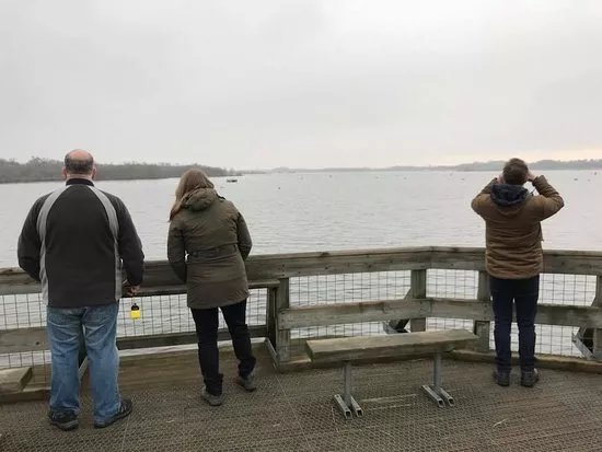 Barton Broad board walk