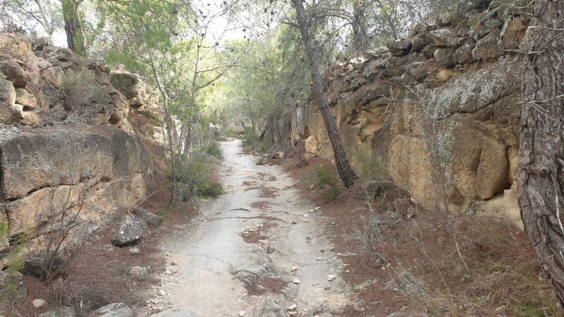Calzada Romana