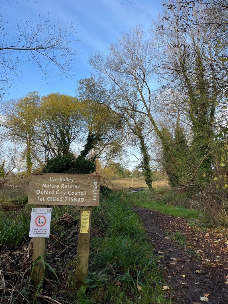 Lye Valley Nature Reserve, Oxford