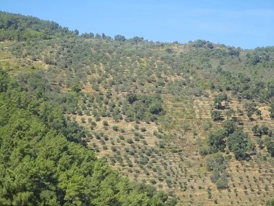 Lagar Da Sancha