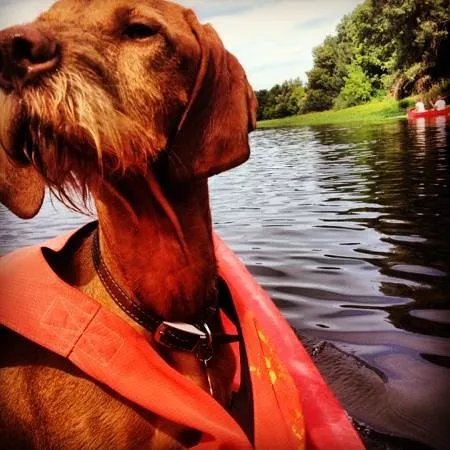 Club canoe-kayak COCCK