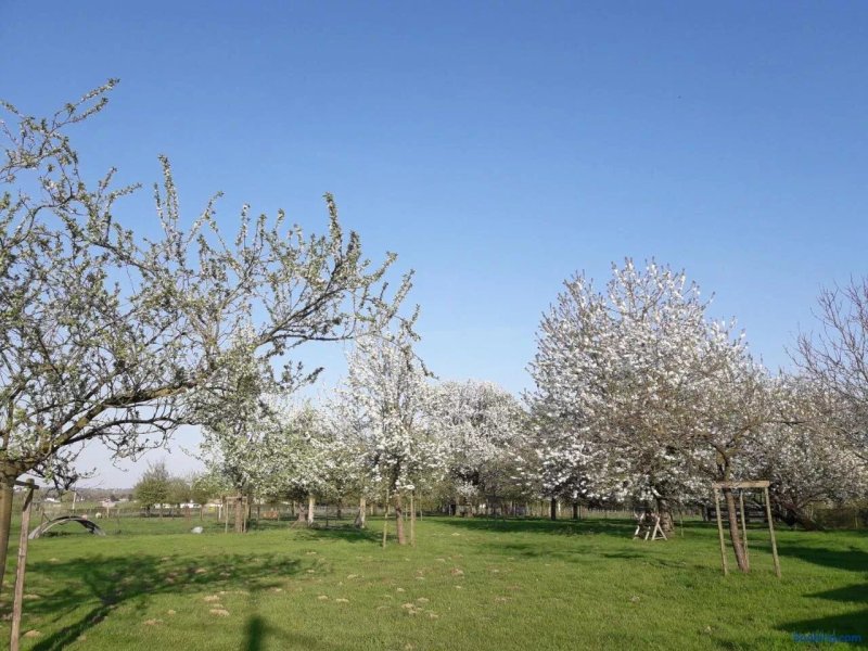 B&B Mussenzele