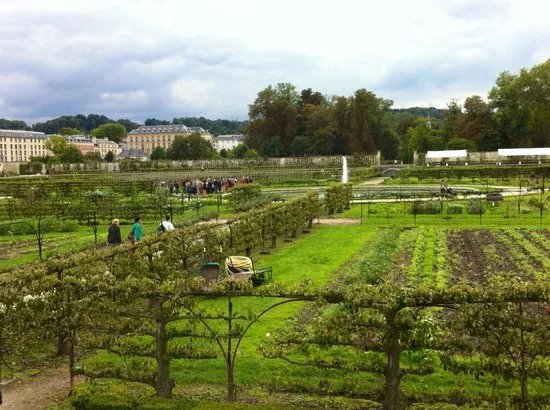 Le Potager du Roi