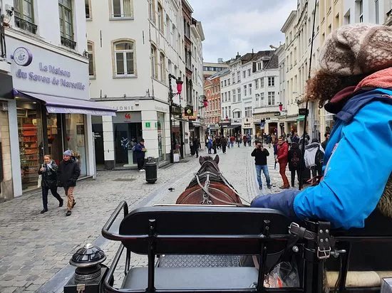 Carriage Tour