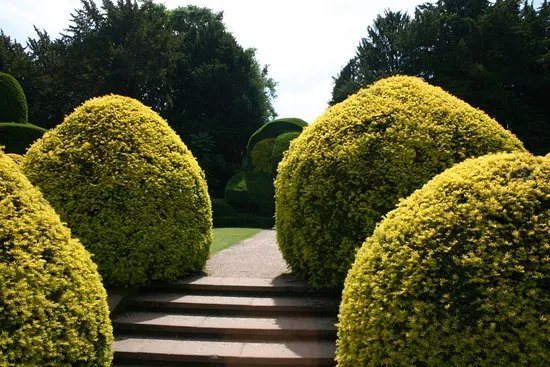 Elvaston Castle and Country Park