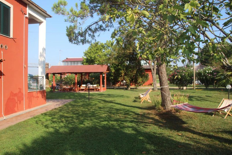 B&B Belvedere