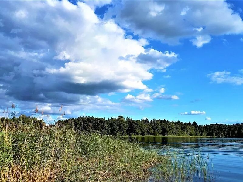 Holiday homes on a natural plot with a private beach on Lake Zootzensee