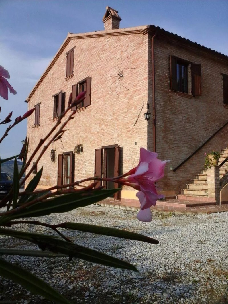 B&B Il Nocciolo