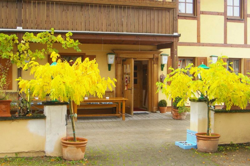 Gasthof Schonau