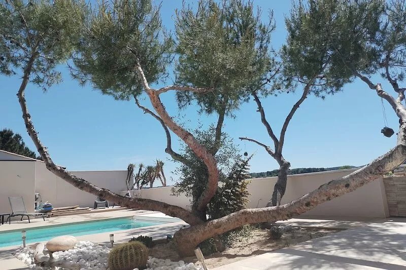 Nouveau Villa Climatisée vue sur Vignoble Zen, Luxe, Charme