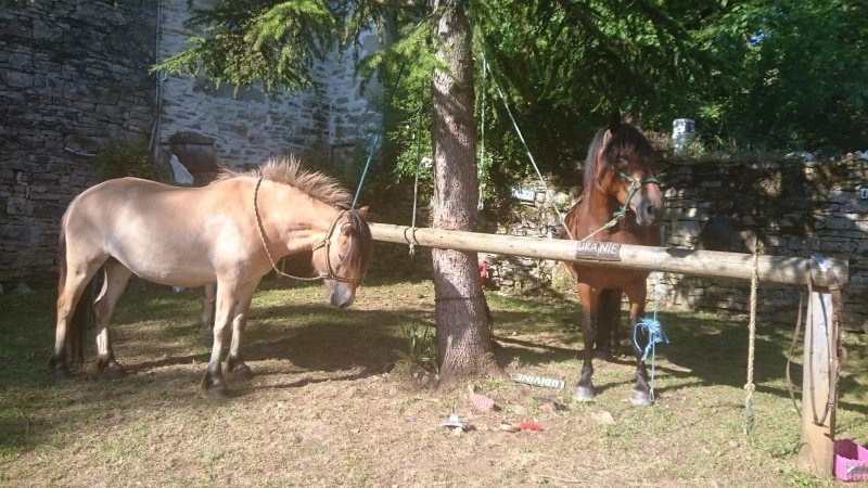 Ferme Equestre chez Valdine