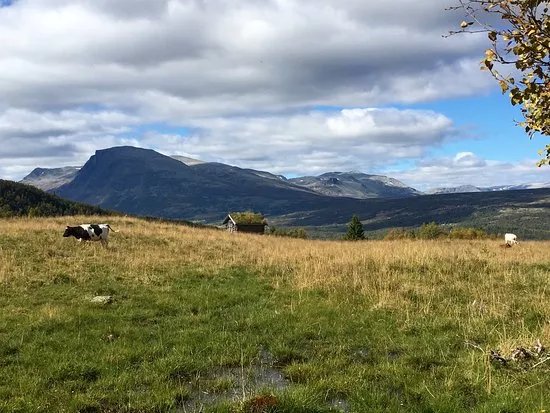 Round Trip of Tisleifjorden Golsfjellet