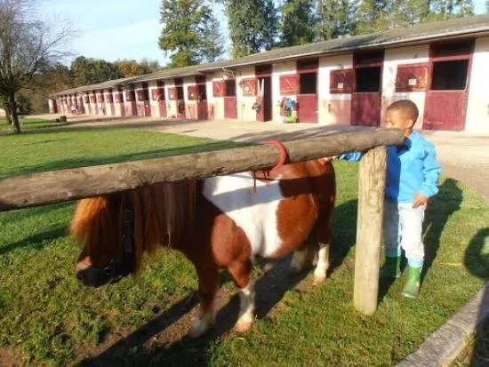 Centre Equestre du Domaine du Muret