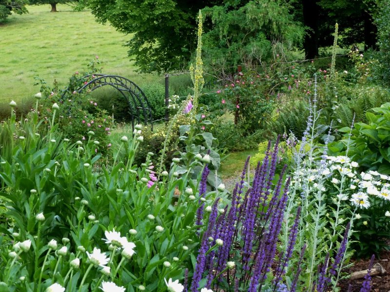 Firwood Country Bed and Breakfast