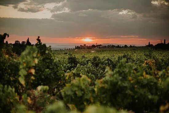 Domaine St Patrice