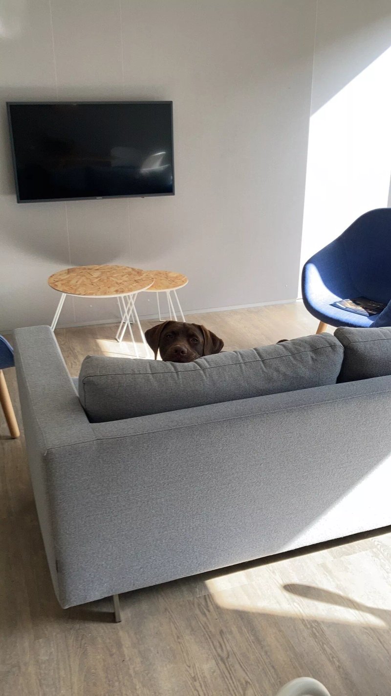 Suitelodges Gooilanden