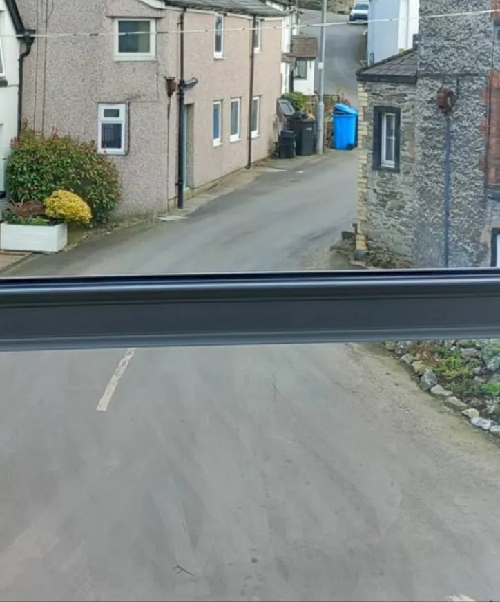 The Blue Lion
