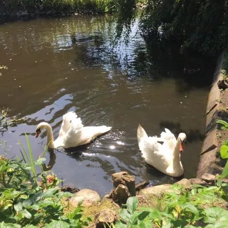 Tierpark Tinnum