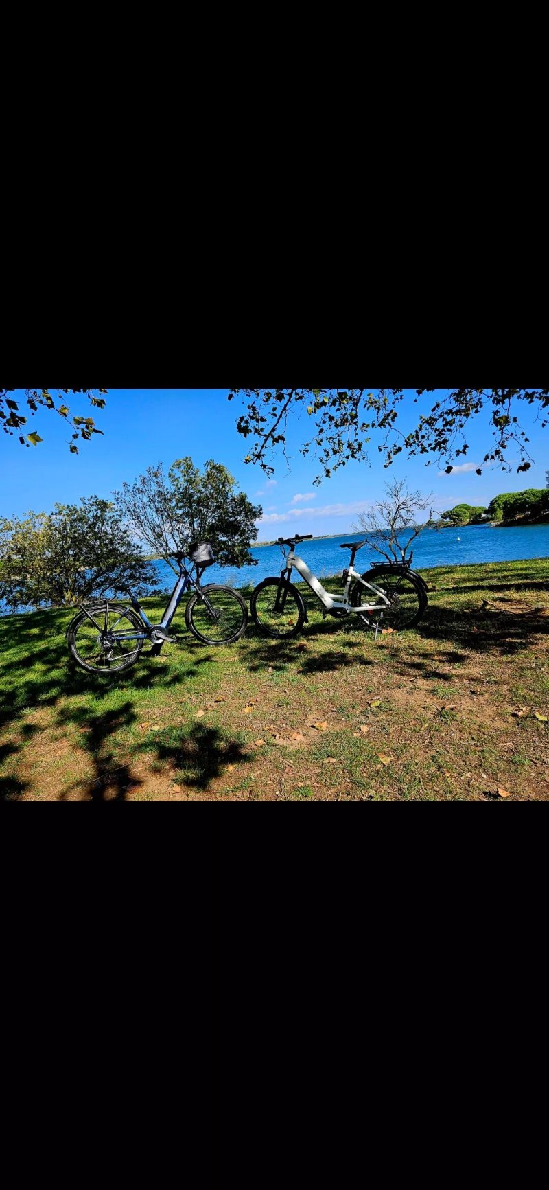 Bike Concept By Loc N' Roll