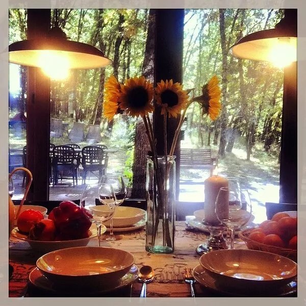 A magical house in the heart of Guadarrama Park