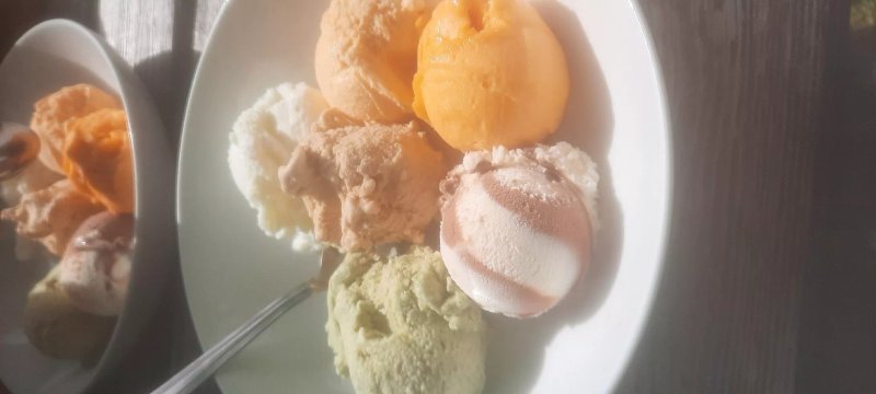Highland Fold Ice Cream HQ Garden & Barn