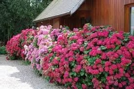 Camping du Creulet