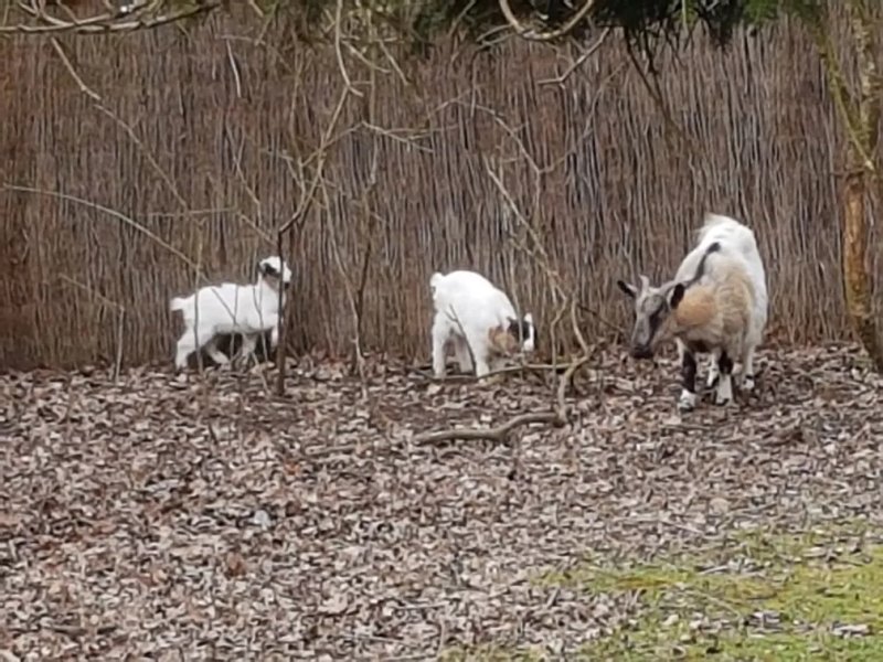 Domaine des Yais