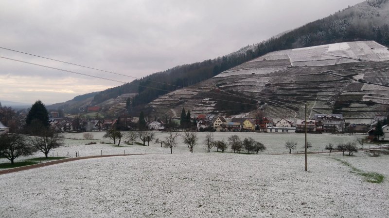 Minotel Tobererhof