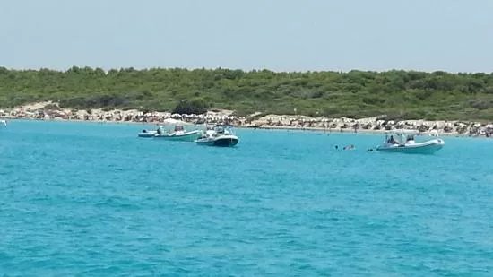 Marina Yachting Portolano - Day Excursions & Boat Rentals