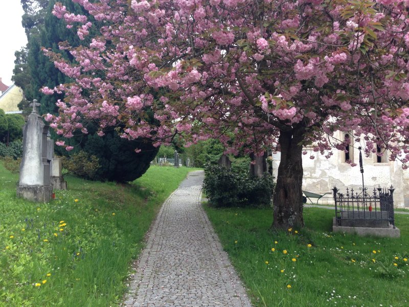 Guesthouse Libelle