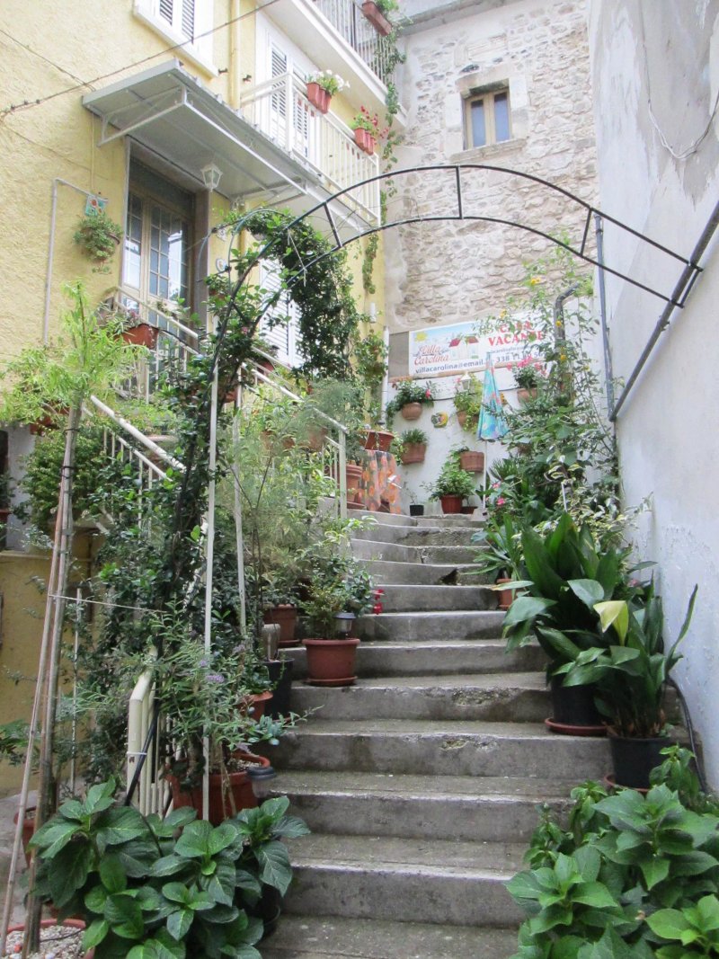 Villa Carolina