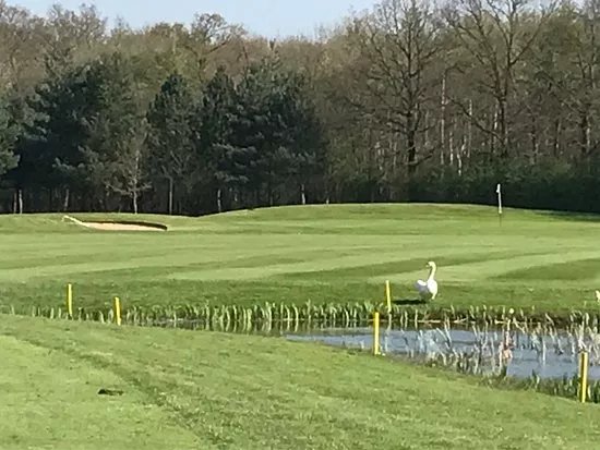 The Oaks golf Club