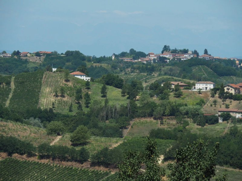 Azienda Agrituristica Collina S. Michele
