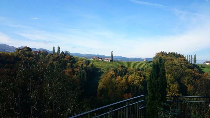 Weinhof Narat-Zitz