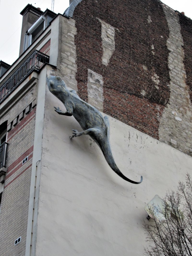 La salamandre de la rue Vitruve