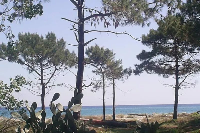 HOLIDAY 'THE WATERFRONT'