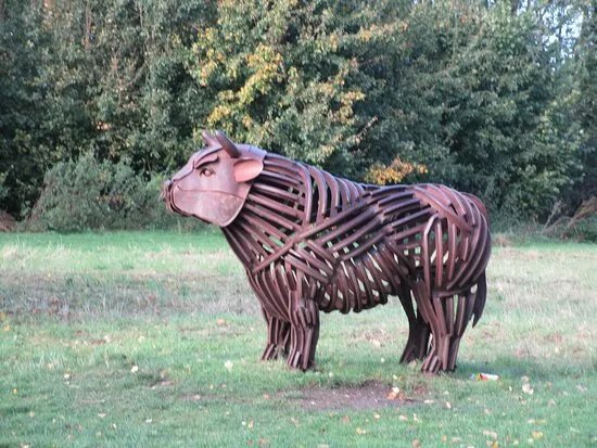 The Canterbury Bull