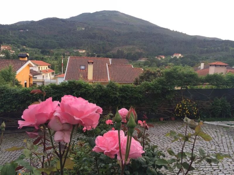 Hospedagem Baia De Giestas
