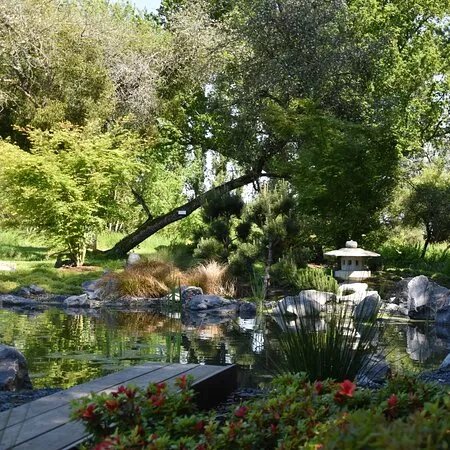 Les jardins japonais de Favieres