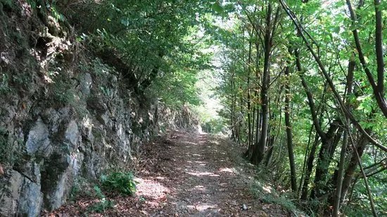 Laveno - Sasso del Ferro - Cittiglio