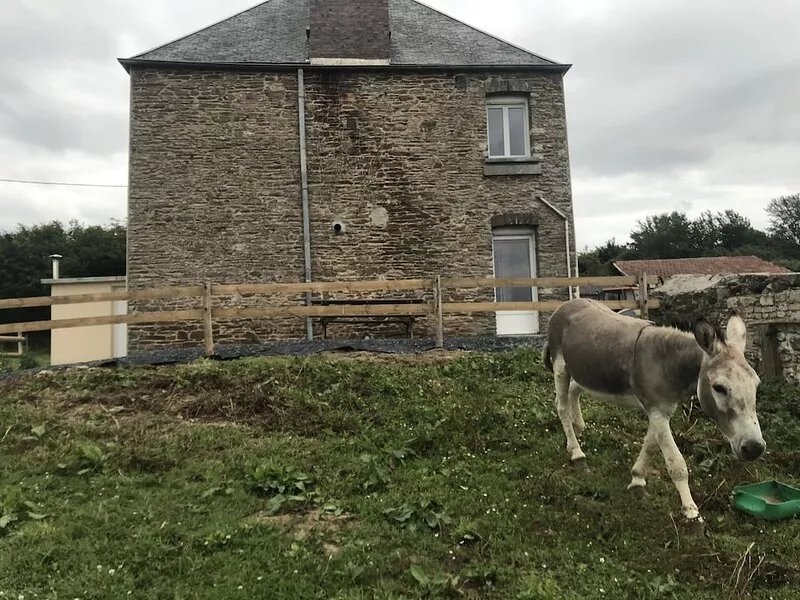 LE GÎTE NORMAND BELLEFONTAINE