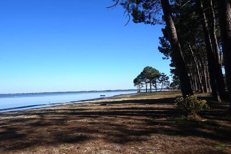 Agréable appartement T2 sur la dune Océane (139)