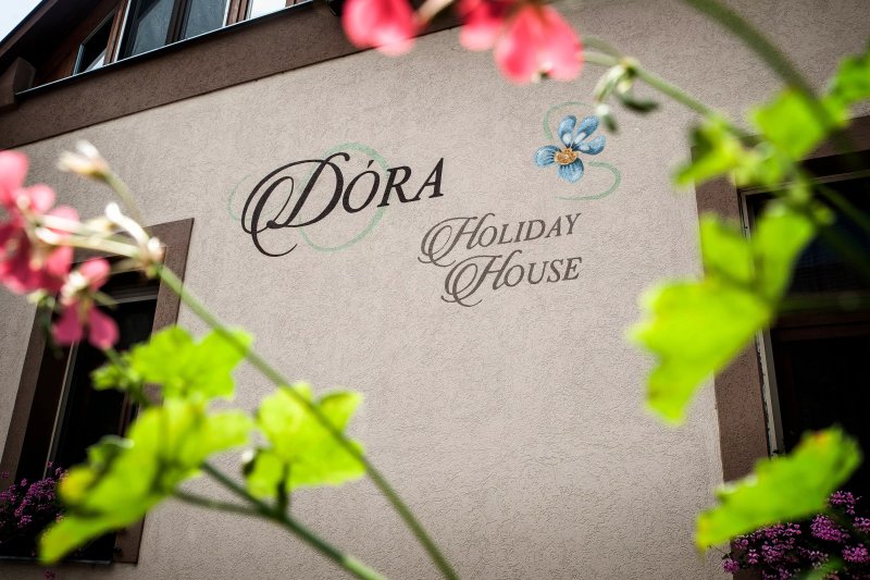Dora Holiday House