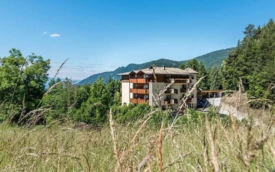 Hotel Waldheim