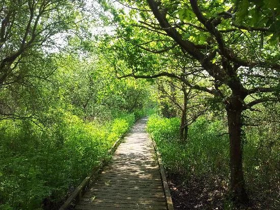 Titchfield Haven National Nature Reserve