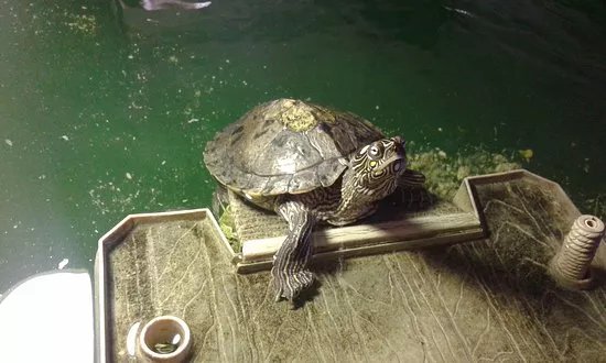 Eastbourne aquarium and reptile centre