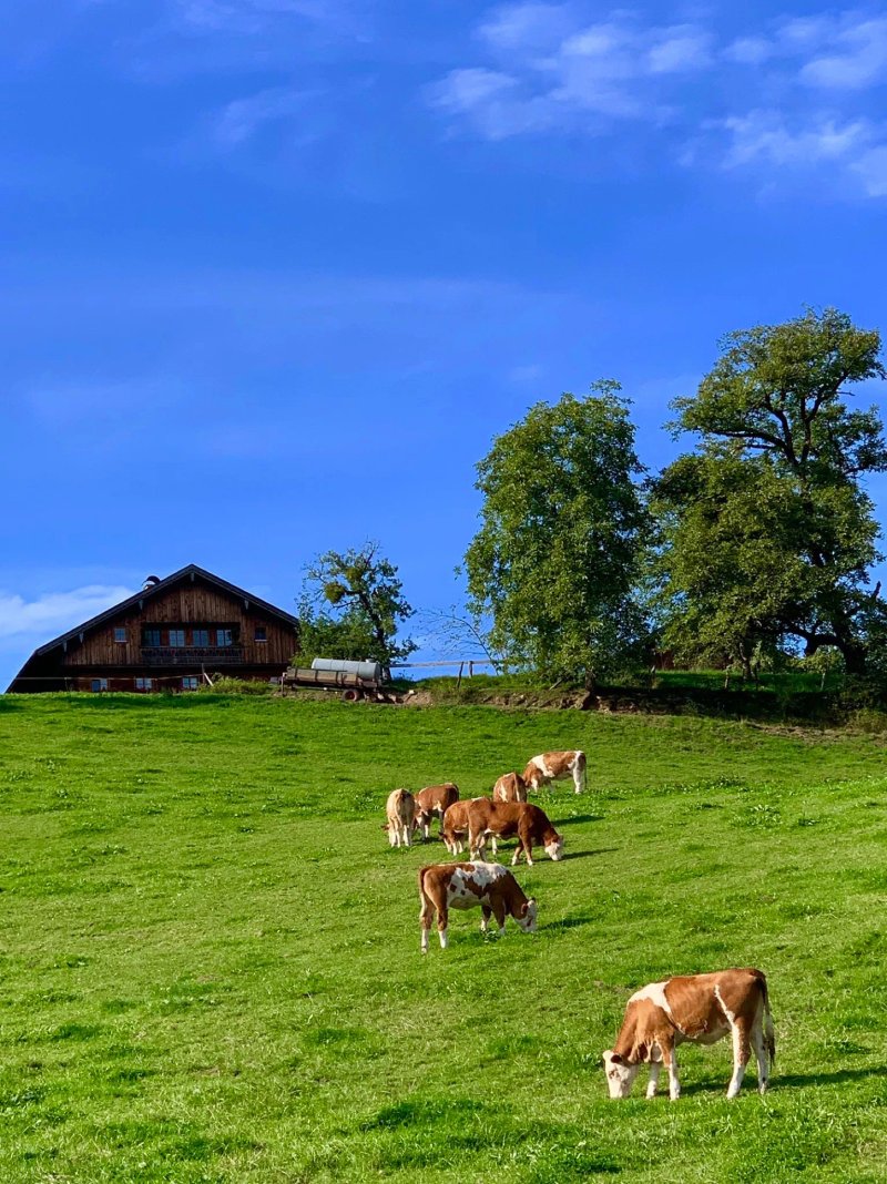 Klosterschaenke