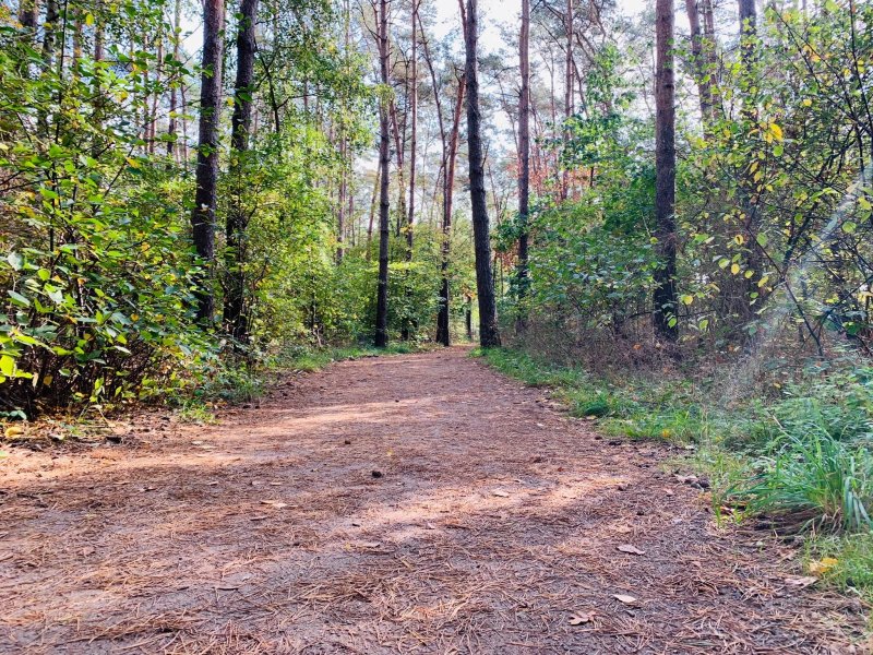 Campingpark Heidewald