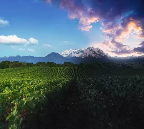 La Piemontina